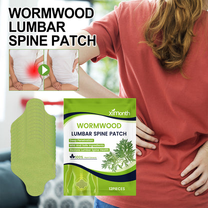 Wormwood Joint Patch Series Of Body Care Patches For Joints, Bones, Waist, Shoulders And Neck Pain Health Eprolo https://www.cyberehub.com