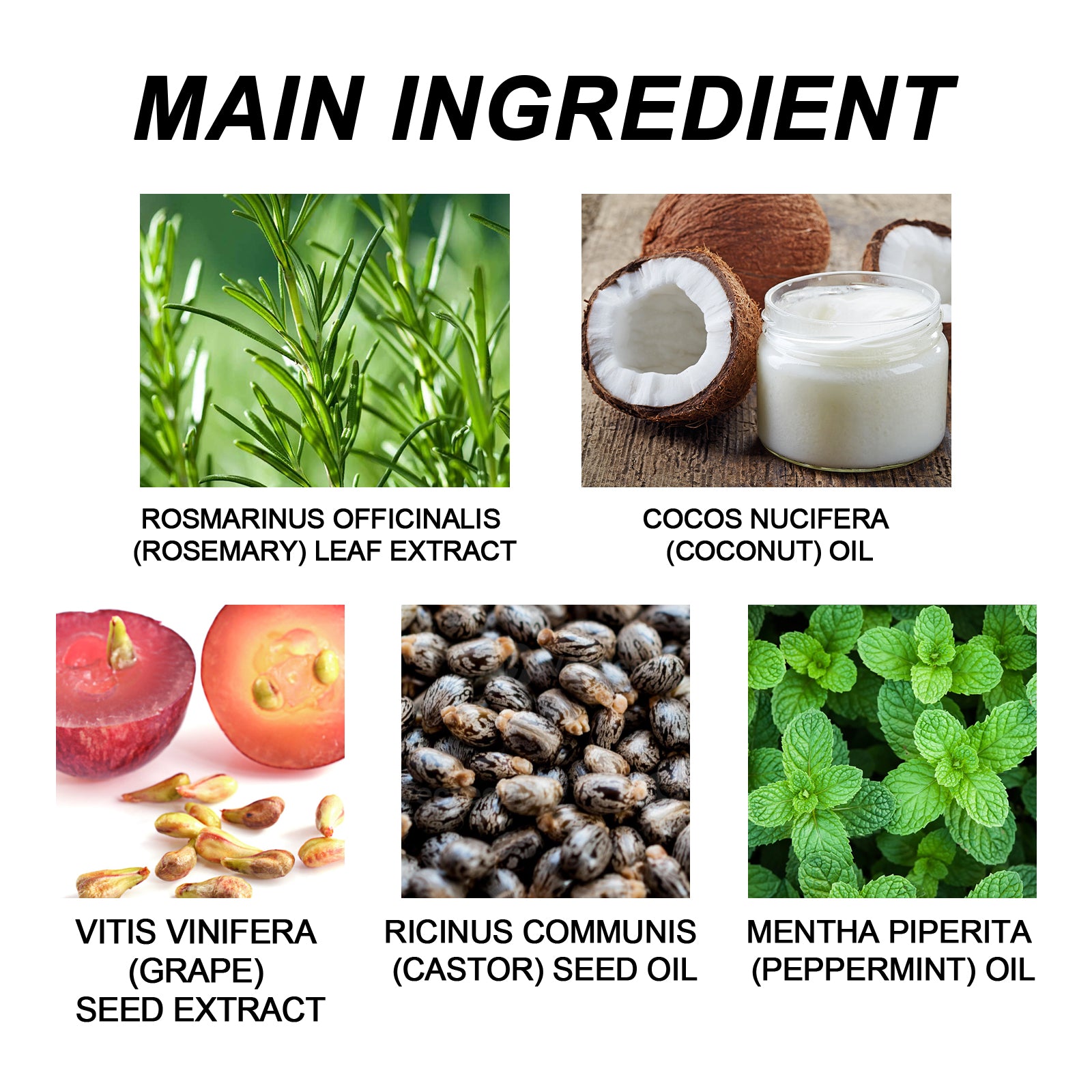 Rosemary Essential Oil, Repair Solid Hair Strong And Moisturizing Hair Roots Thick And Supple Hair Care Essential Oil Health & Beauty Health Eprolo https://www.cyberehub.com