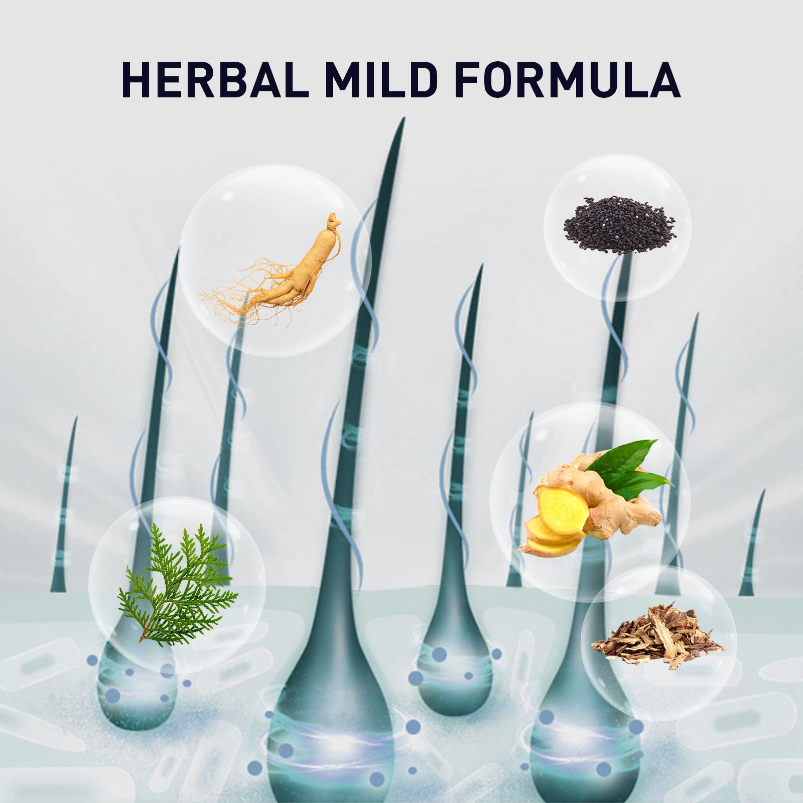 Herbal Hair Essence, Moisturizes Scalp Strong Hair Roots Thick Beard Care Essence Health Eprolo https://www.cyberehub.com