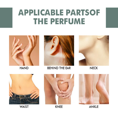 Rosemary Ginger Scent Experience Perfume, Natural Fragrance Behind The Ear And Wrist For Women Health Eprolo https://www.cyberehub.com