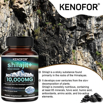 Himalaya Original Pure Shilajit Capsules, Naturally Enriched with Fulvic Acid and Over 85 Trace Minerals, Gluten Free Supplement Supplements Life Quality Supplements Life Quality https://www.cyberehub.com