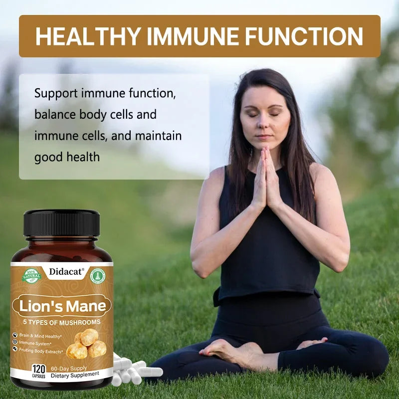 Lion's Mane 5-Mushroom Capsules - Supports brain and focus health, immune defense, and more Supplements Life Quality Supplements Life Quality https://www.cyberehub.com
