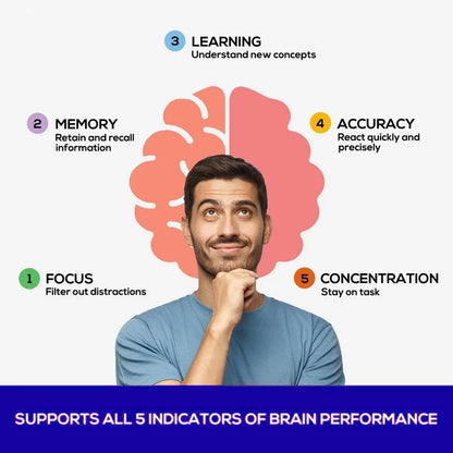 Ginkgo Biloba - Brain Booster - Rich in vitamins B6, B12, folic acid, helps improve concentration and memory, cognitive abilitie Supplements Life Quality Supplements Life Quality https://www.cyberehub.com