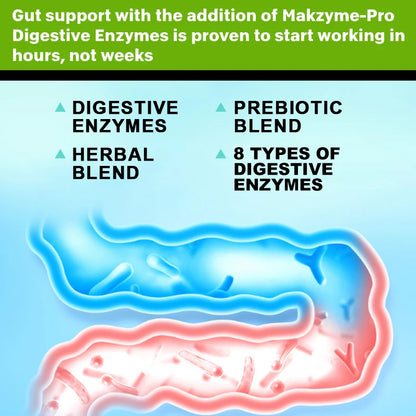 Digestive enzyme supplements for adults Digestive enzyme capsules Beneficial bacteria Immune system support and healthy digestio Supplements Life Quality Supplements Life Quality https://www.cyberehub.com
