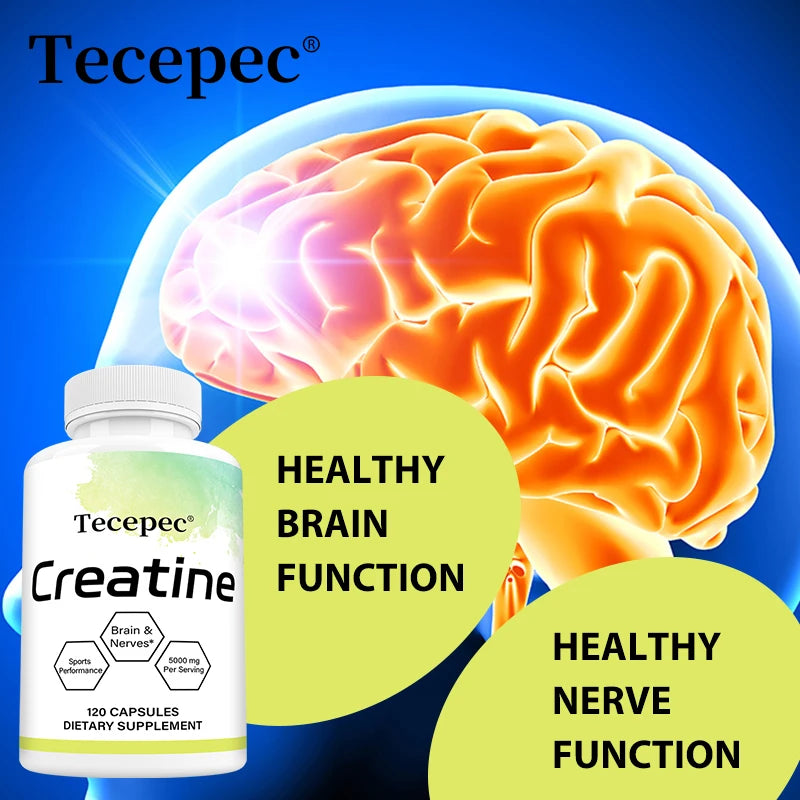 Creatine Monohydrate 5000 mg, Supports Muscle, Performance & Strength, Recovery, Brain Function, 120 Capsules Supplements Life Quality Supplements Life Quality https://www.cyberehub.com