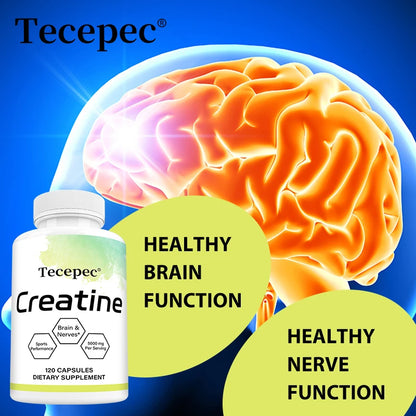 Creatine Monohydrate 5000 mg, Supports Muscle, Performance & Strength, Recovery, Brain Function, 120 Capsules Supplements Life Quality Supplements Life Quality https://www.cyberehub.com
