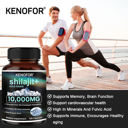 Himalaya Original Pure Shilajit Capsules, Naturally Enriched with Fulvic Acid and Over 85 Trace Minerals, Gluten Free Supplement Supplements Life Quality Supplements Life Quality https://www.cyberehub.com