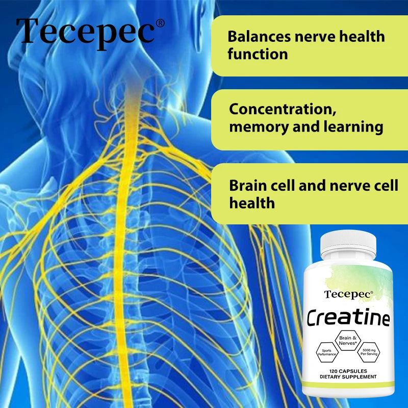 Creatine Monohydrate 5000 mg, Supports Muscle, Performance & Strength, Recovery, Brain Function, 120 Capsules Supplements Life Quality Supplements Life Quality https://www.cyberehub.com