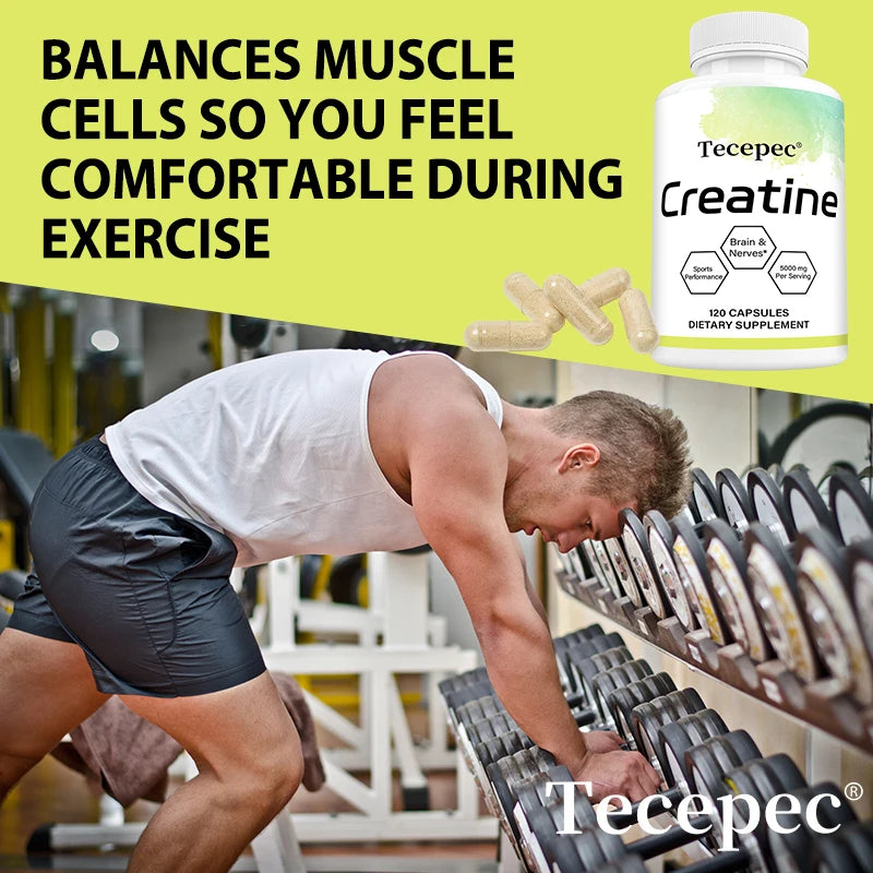 Creatine Monohydrate 5000 mg, Supports Muscle, Performance & Strength, Recovery, Brain Function, 120 Capsules Supplements Life Quality Supplements Life Quality https://www.cyberehub.com