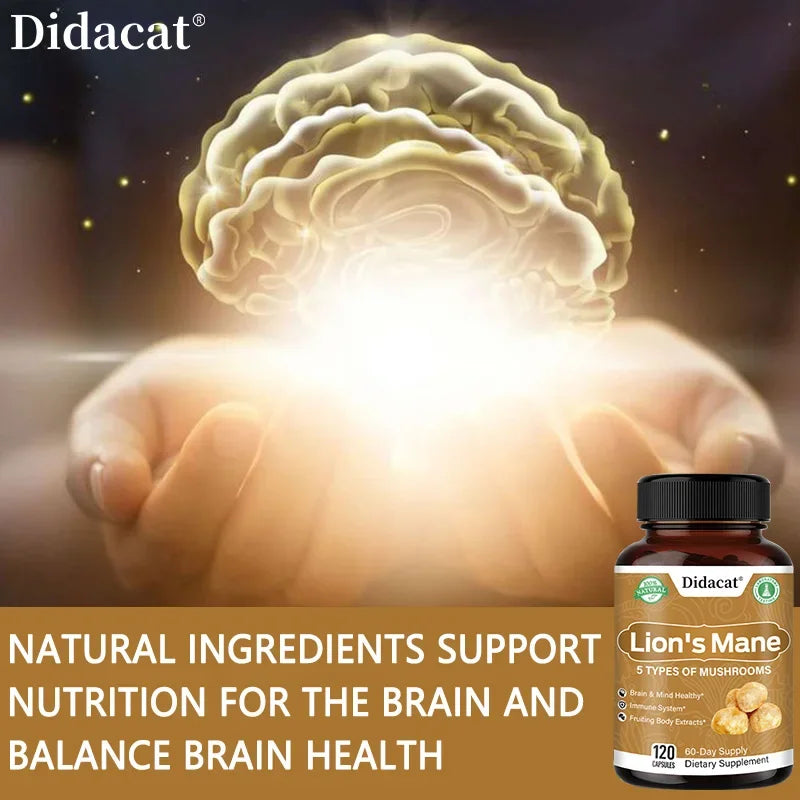 Lion's Mane 5-Mushroom Capsules - Supports brain and focus health, immune defense, and more Supplements Life Quality Supplements Life Quality https://www.cyberehub.com