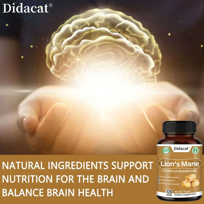 Lion's Mane 5-Mushroom Capsules - Supports brain and focus health, immune defense, and more Supplements Life Quality Supplements Life Quality https://www.cyberehub.com