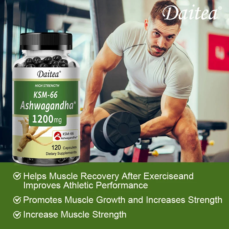 Ashwagandha 1200 mg - Stress Relief Formula, Supports Energy & Focus, 120 Veggie Capsules Supplements Life Quality Supplements Life Quality https://www.cyberehub.com