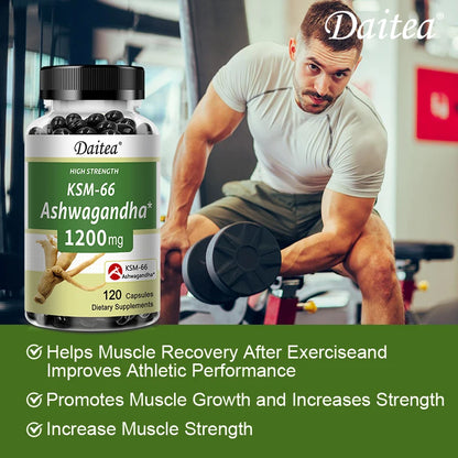 Ashwagandha 1200 mg - Stress Relief Formula, Supports Energy & Focus, 120 Veggie Capsules Supplements Life Quality Supplements Life Quality https://www.cyberehub.com