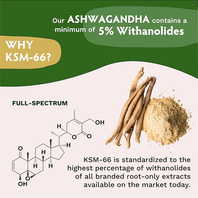 Ashwagandha 1200 mg - Stress Relief Formula, Supports Energy & Focus, 120 Veggie Capsules Supplements Life Quality Supplements Life Quality https://www.cyberehub.com