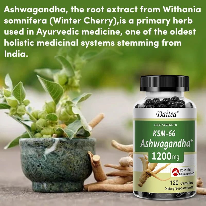 Ashwagandha 1200 mg - Stress Relief Formula, Supports Energy & Focus, 120 Veggie Capsules Supplements Life Quality Supplements Life Quality https://www.cyberehub.com