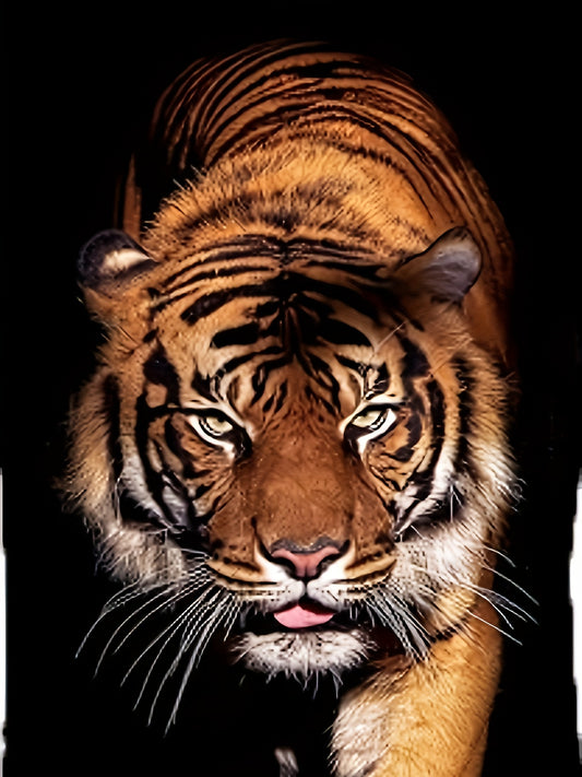 3D Tiger Printed Men's Fashionable Short Sleeved Round Neck T-shirt, Summer Outdoor Apparel/Shirt/Graphic Shirt SNULLO https://www.cyberehub.com