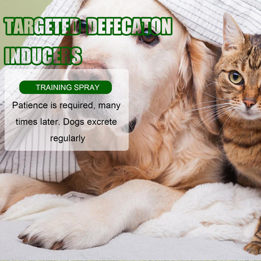 Yegbong Pet Positioning Toilet Inducer Pet Toilet Positioning Toilet Trainer Pet Supplies Health & Beauty Under 10 UniversalMaax https://www.cyberehub.com